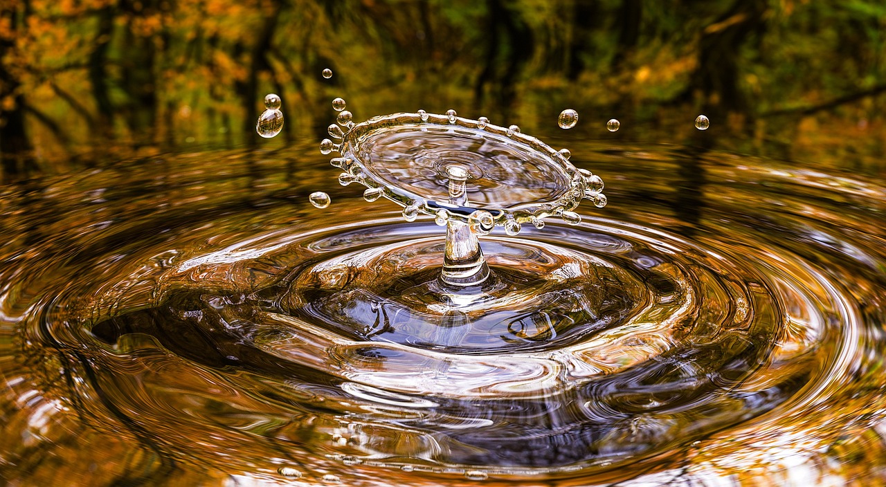 Pourquoi l’économie circulaire représente-t-elle une opportunité business majeure aujourd’hui ?